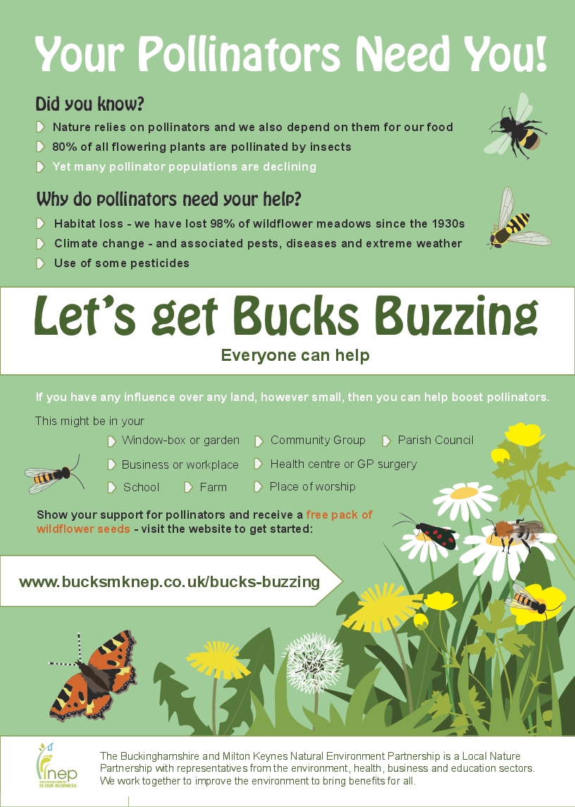 Bucks Buzzing-Your Pollinators Need You