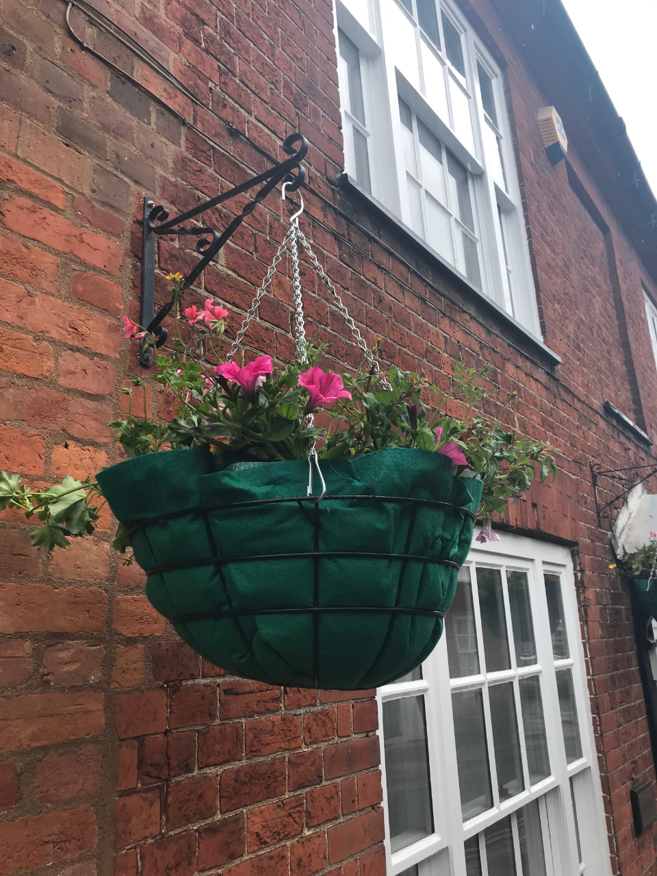 hanging basket