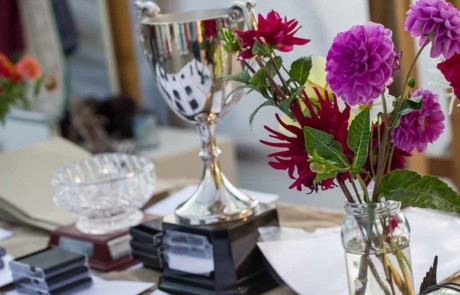 Aylesbury in Bloom awards 2019