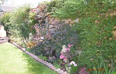 Best Back Garden - Silver Gilt