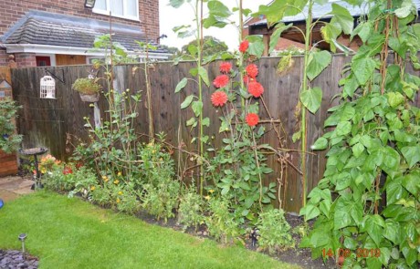 Best Back Garden - Silver Gilt