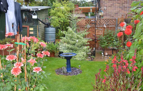 Best Back Garden - Silver Gilt