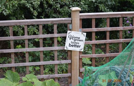 Best Edible Garden - Silver Gilt