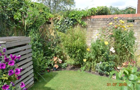 Best Front Garden - Gold