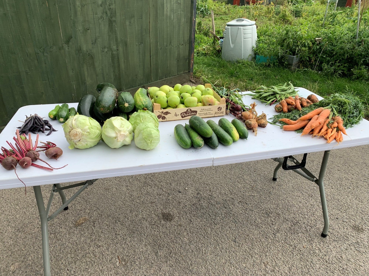 Table with allotment produce