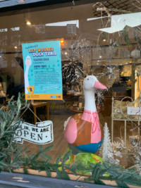 Image of teacher duck in the window at The Flower Bar